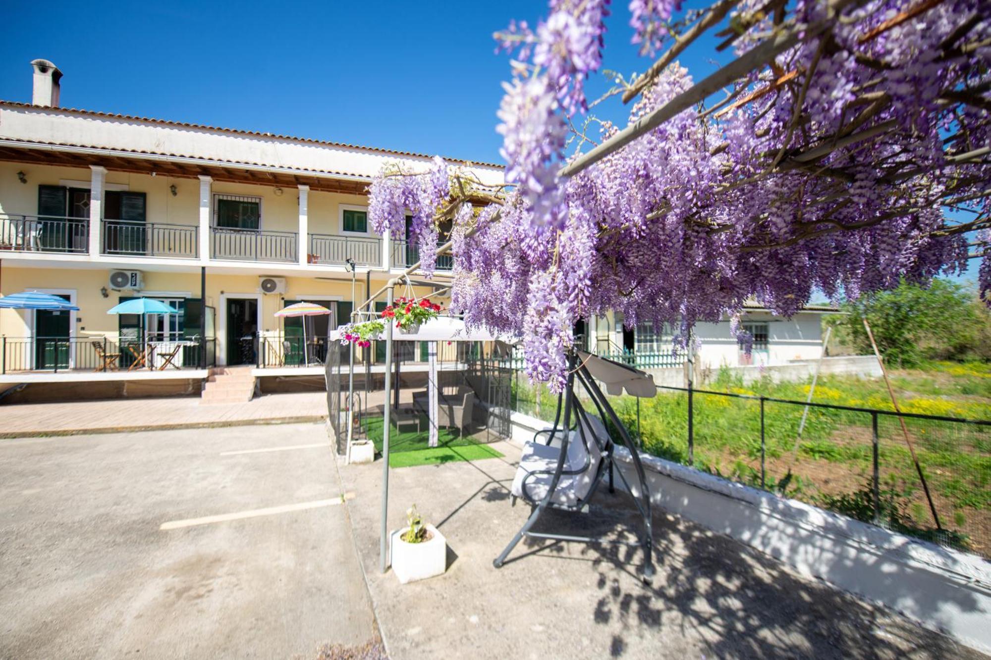 Ionian Luxury Apartments Perama  Exterior photo